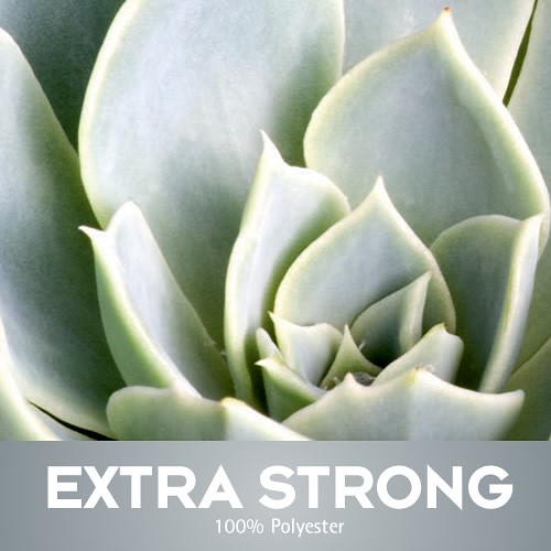 Extra Strong